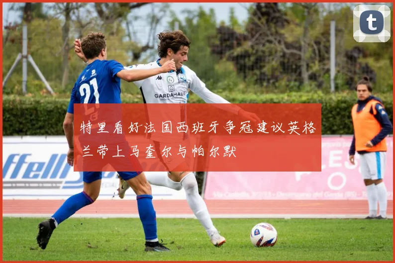 特里看好法国西班牙争冠建议英格兰带上马奎尔与帕尔默