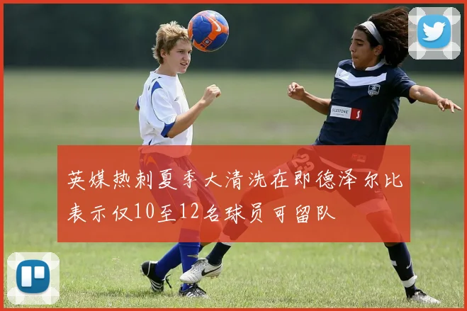 英媒热刺夏季大清洗在即德泽尔比表示仅10至12名球员可留队