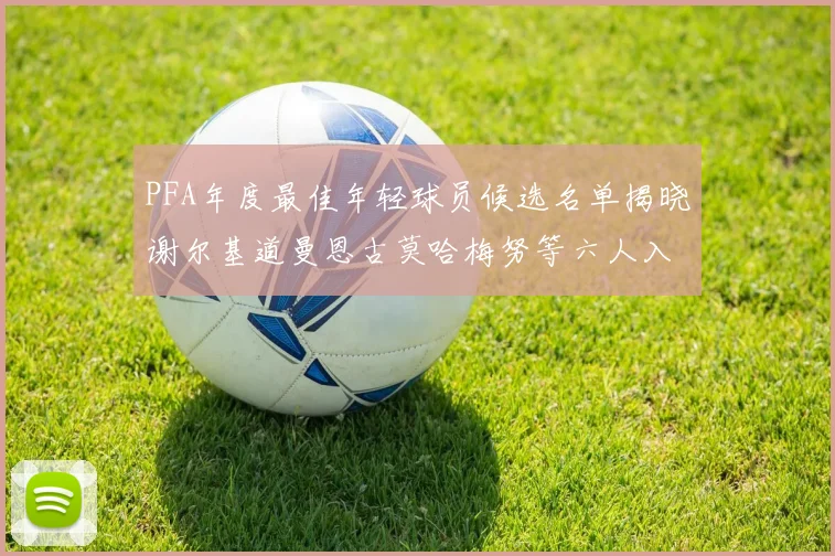 PFA年度最佳年轻球员候选名单揭晓谢尔基道曼恩古莫哈梅努等六人入围